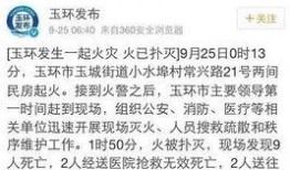 玉环最新爆料消息,揭秘背后惊人真相