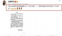 潘小慧爆料视频在线观看,揭秘背后惊人真相