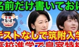 盈公主爆料视频,揭秘幕后真相与精彩瞬间